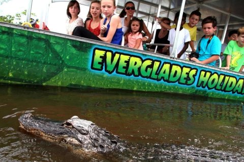 🐊 Everglades Tour From Miami |  Miami Tour Company