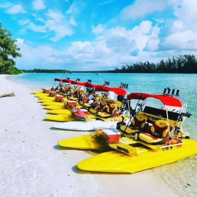 Guided Craigcat Tour |  KoolCat Eco Tours
