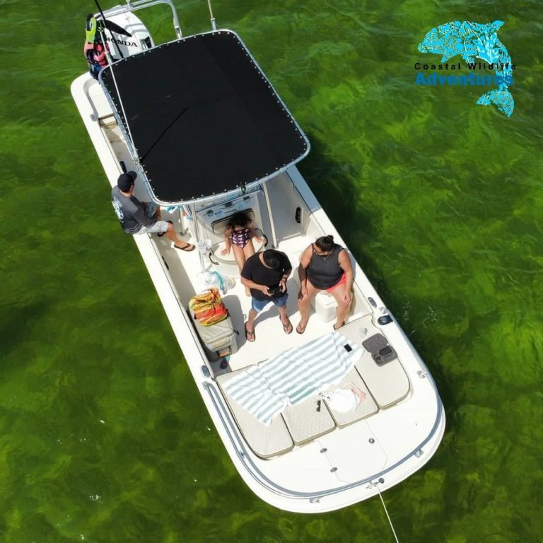 175278017 125017506315311 3667063719333999125 n Copy 768x768