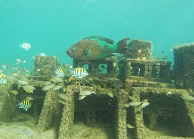 202302 11 0 3 768x551