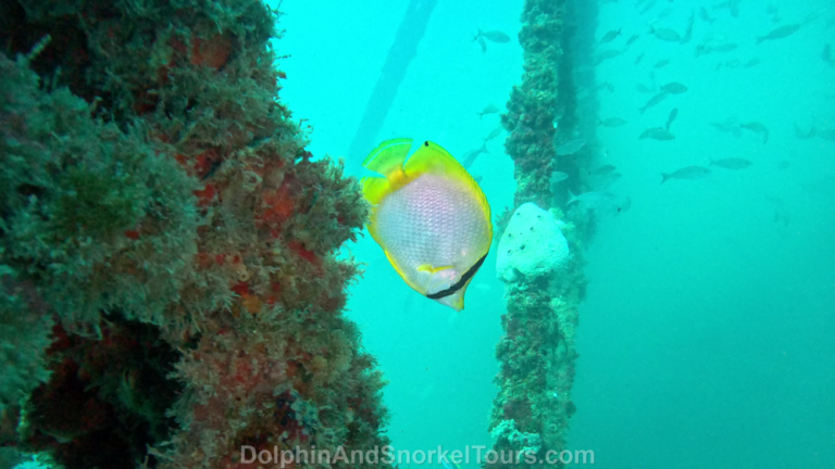 202306 12 0 6 768x432