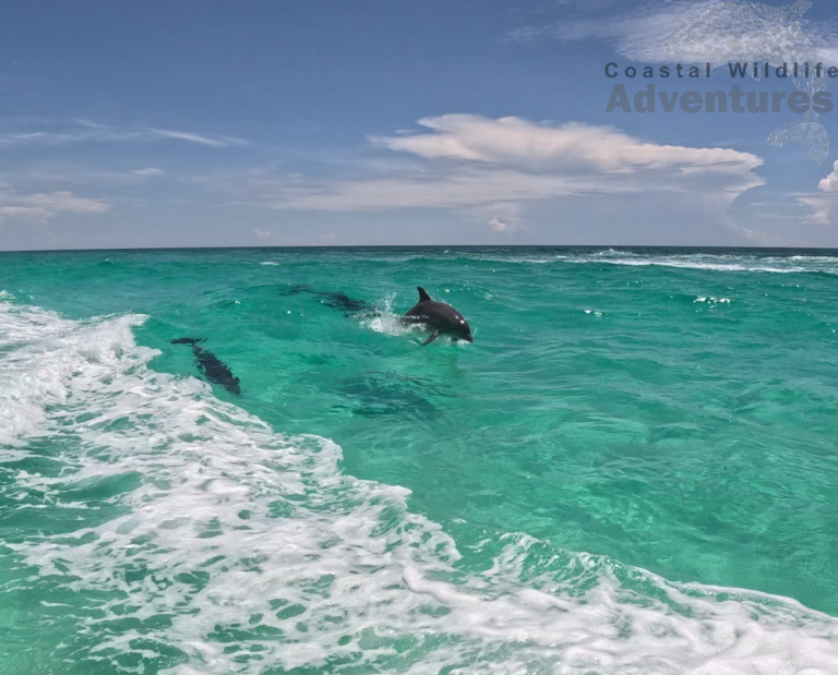 202307 14 0 0 1 768x619