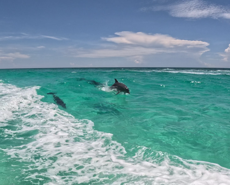 202307 14 0 0 768x619