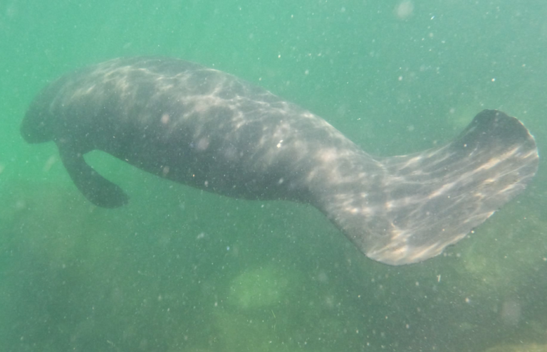 202308 18 0 8 768x495