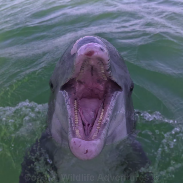 202405 17 0 10 768x768