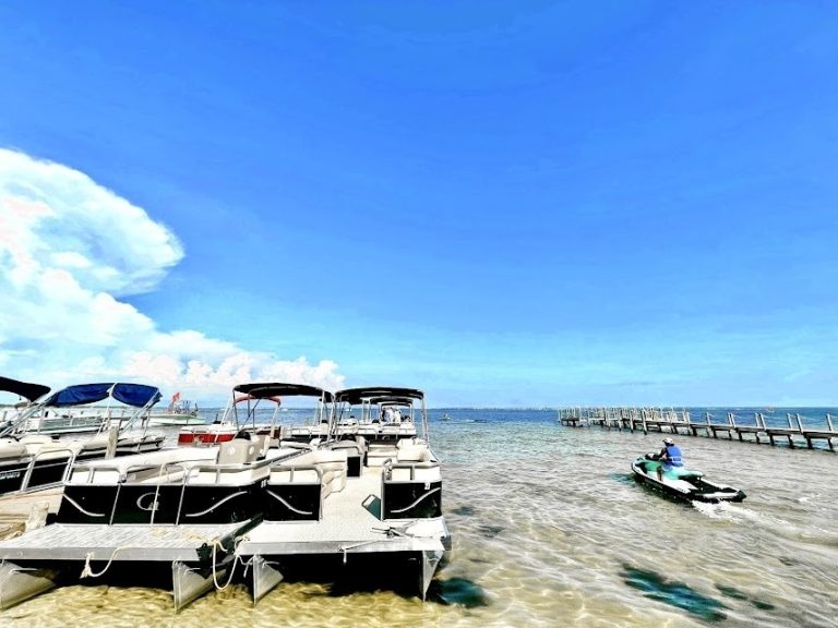 70430BF7 29A6 4F3A 83EF 7A1E3F827D4D 768x576