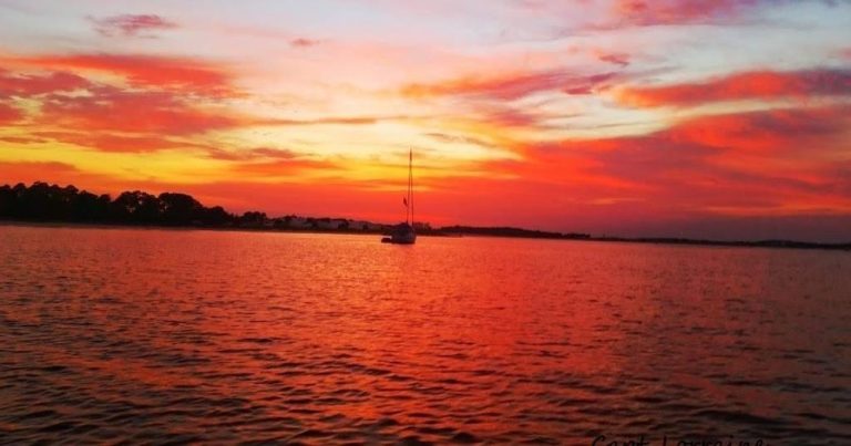 844124075618193 768x403