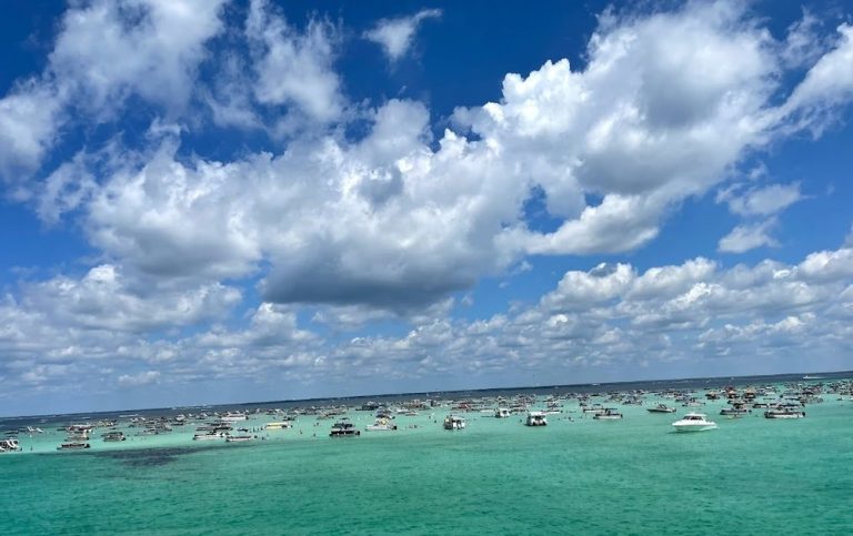 9A876E84 070F 4ED4 A82A 3A5FF8CCE0D6 768x483