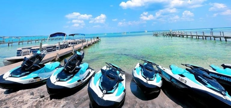 BC7A2FEE BB67 4727 8741 5FA0546BF271 768x361