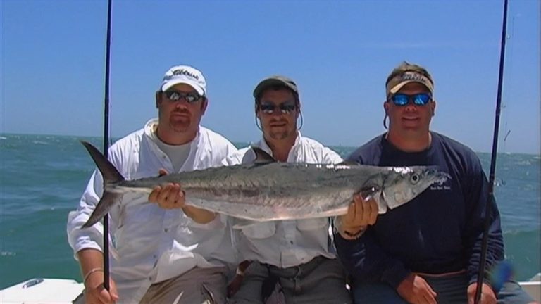 Fishing King Mackerel 768x432