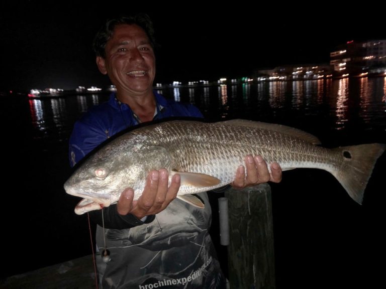 Fishing Red Fish 768x576