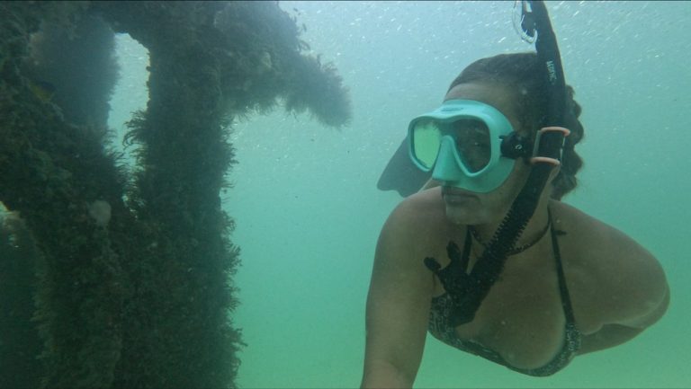 GX013319 frame at 0m52s 768x433