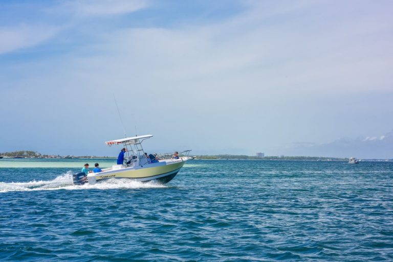 haleyhensleyphotography 270 768x513