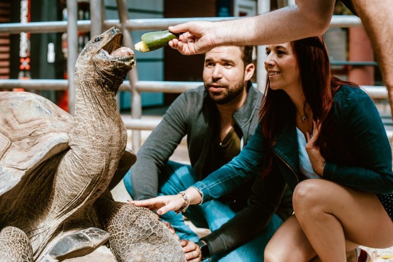 AW JUNGLEISLAND March 03 2019 013 768x513